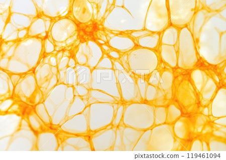 Detail of Yellow Bubble Showcasing Collagen Texture Detail of Yellow Bubble Showcasing Collagen Texture 119461094