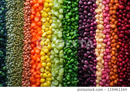 Nutrient-Rich Legumes Displayed in Vibrant Lines Nutrient-Rich Legumes Displayed in Vibrant Lines 119461164