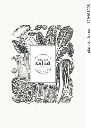 Green Vegetable Design Template. Vector Hand Drawn Healthy Leaf Salad Banner. Vintage Style Menu Illustration. 119461908