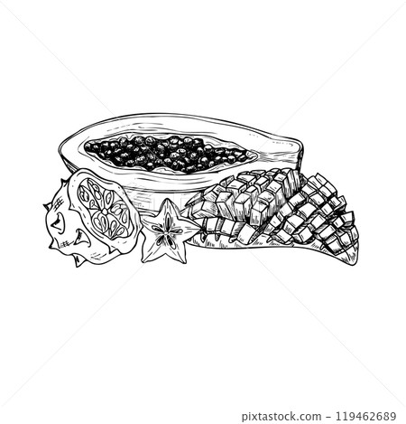 Aromatic delicious fruit mix hand drawn black and white vector illustration. Half Papaya, half kiwano, cut mango with cubes, carambola slice ink sketch. For summer design. Aromatic delicious fruit mix hand drawn black and white vector illustration. Half Papaya, half kiwano, cut mango with cubes, carambola slice ink sketch. For summer design. 119462689