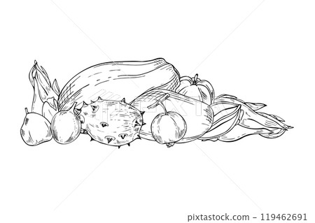 Tasty exotic tropical fruit mix hand drawn black and white vector illustration. Whole Papaya, kiwano, maracuja , guava, Pitahaya and mango fruits monochrome composition. For summer design. Tasty exotic tropical fruit mix hand drawn black and white vector illustration. Whole Papaya, kiwano, maracuja , guava, Pitahaya and mango fruits monochrome composition. For summer design. 119462691