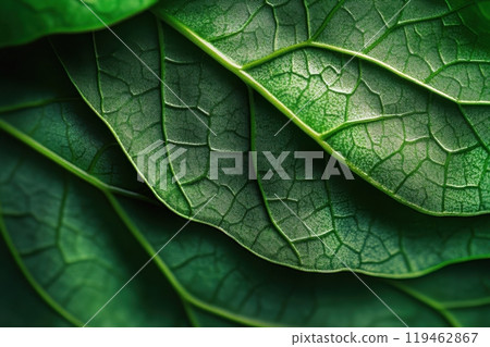 The leaf is green and has a shiny, wet appearance The leaf is green and has a shiny, wet appearance 119462867