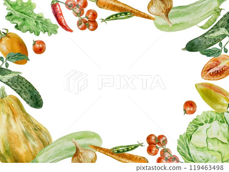Vegetable frame. Cabbage, pumpkin, zucchini, cucumber, tomato, carrot, peas, pepper. Watercolor illustration isolated. Labels, cards, cookbooks, menus 119463498