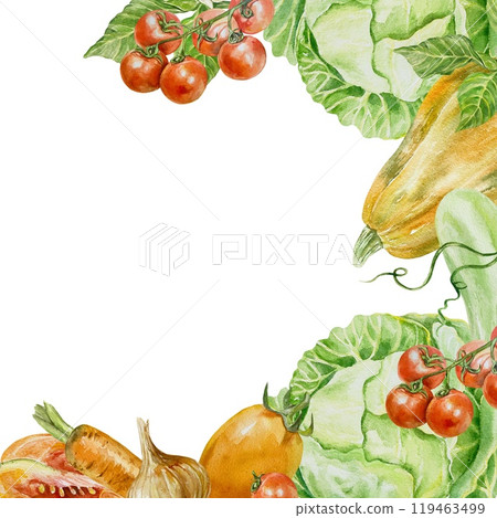 Vegetable frame square. Cabbage, pumpkin, zucchini, tomato, carrot, onion. Watercolor illustration isolated. Labels, cards, banners, cookbooks, menus. Vegetable frame square. Cabbage, pumpkin, zucchini, tomato, carrot, onion. Watercolor illustration isolated. Labels, cards, banners, cookbooks, menus. 119463499