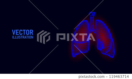 Anatomical human lungs line art silhouette. Healthy medicine against smoking concept design world no tobacco day tuberculosis drawing vector illustration Anatomical human lungs line art silhouette. Healthy medicine against smoking concept design world no tobacco day tuberculosis drawing vector illustration 119463714