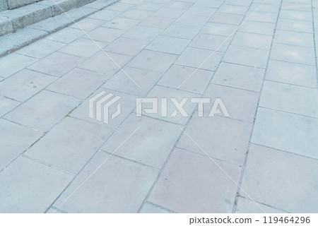 Serene Urban Pathway with Soft Textures and Subtle Variations in Coloration 119464296