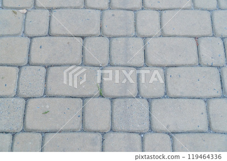 Textured Cobblestone Pathway with Subtle Natural Elements Textured Cobblestone Pathway with Subtle Natural Elements 119464336