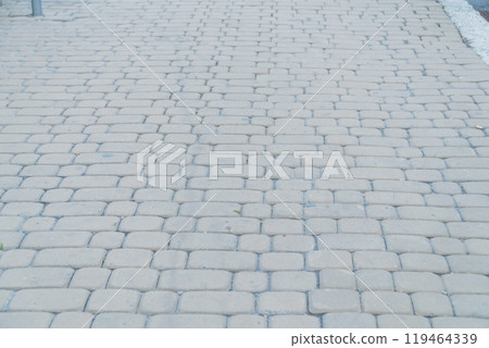 Cobblestone Pathway in Soft Natural Light 119464339