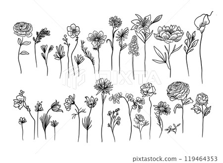Flower set continuous outline style. Decoration flower, botanical floral element, blossom one line art for wedding, spring concept background. hand drawing. Not AI, Vector illustration Flower set continuous outline style. Decoration flower, botanical floral element, blossom one line art for wedding, spring concept background. hand drawing. Not AI, Vector illustration 119464353