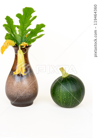 one round courgette , cucurbita pepo, zucchini on wood and zucchini flower in a vase white background. 119464360