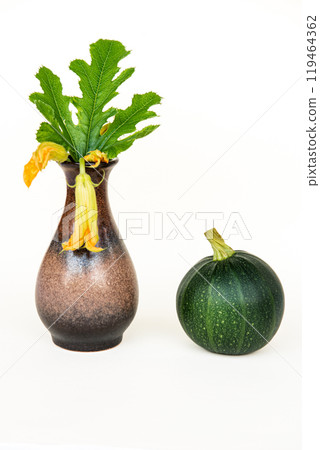one round courgette , cucurbita pepo, zucchini on wood and zucchini flower in a vase white background. 119464362