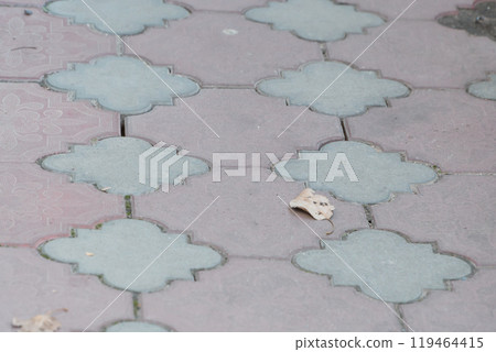 Ornate Pavement Design Highlighted by a Single Leaf Ornate Pavement Design Highlighted by a Single Leaf 119464415