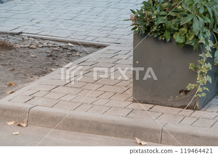 Urban Streetscape with Paved Sidewalk and Planter Box 119464421