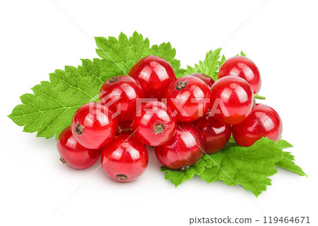 Red currant berries isolated on white background Red currant berries isolated on white background 119464671