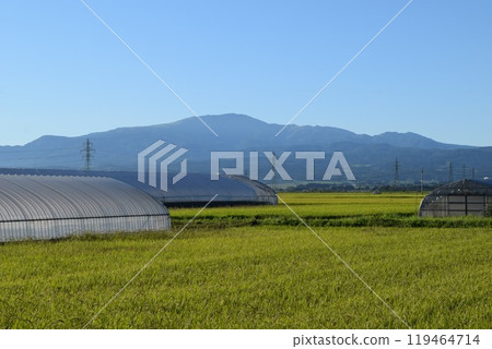 月山 日本名山百選 山形縣 出羽三山 119464714