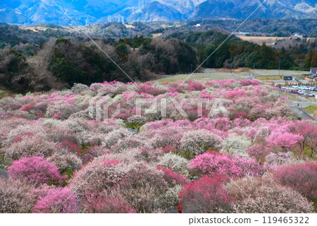 Inabe City Bairin Park Inabe City Bairin Park 119465322