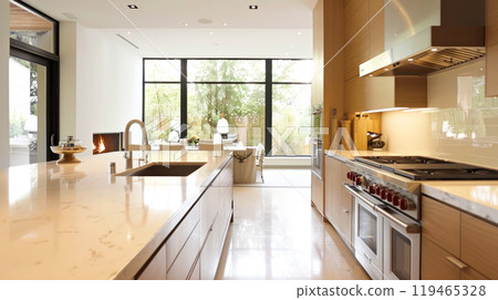 Modern luxury kitchen with high-end appliances and natural light Modern luxury kitchen with high-end appliances and natural light 119465328