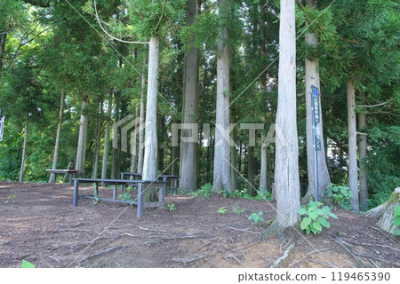 Mount Iwanai, a view spot from the Hokuriku Shinkansen line, Echizen City, Fukui Prefecture 119465390