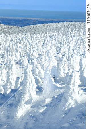 Yamagata Zao Ski Resort Gondola Station Spectacular view of the frost-covered field from the top of Mt. Jizo Yamagata Zao Ski Resort Gondola Station Spectacular view of the frost-covered field from the top of Mt. Jizo 119465429