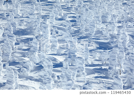 山形藏王滑雪場纜車站 從地藏山頂欣賞冰雪覆蓋的壯麗景色 山形藏王滑雪場纜車站 從地藏山頂欣賞冰雪覆蓋的壯麗景色 119465430