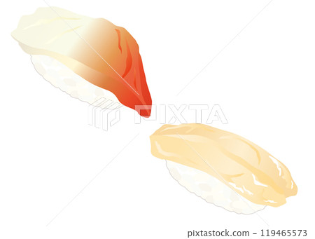 Illustration of delicious shellfish nigiri sushi Illustration of delicious shellfish nigiri sushi 119465573