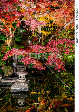 [神奈川縣] 長谷寺的紅葉彩燈 119466106