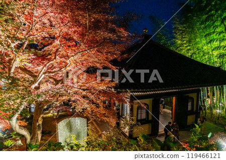 [Kanagawa Prefecture] The vibrantly colored autumn leaves at Hasedera Temple are illuminated 119466121