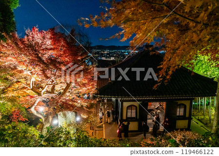 [神奈川縣] 長谷寺的紅葉彩燈 119466122