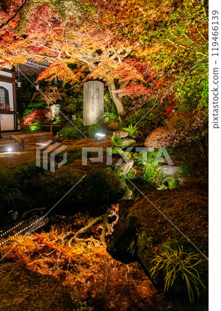 [Kanagawa Prefecture] Fiery autumn leaves illuminated at Hasedera Temple 119466139