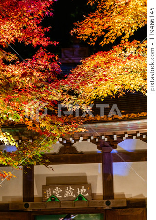 [神奈川縣]長谷寺的地藏殿燈火通明和秋葉 119466145