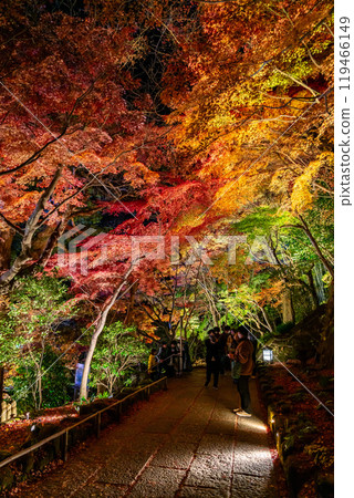 [神奈川縣] 長谷寺的紅葉彩燈 119466149