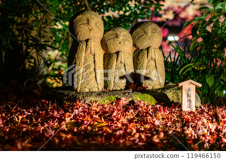 [Kanagawa Prefecture] The illuminated Jizo statue of good luck at Hasedera Temple 119466150