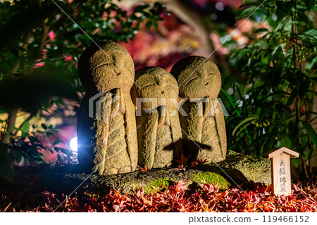 [Kanagawa Prefecture] The illuminated Jizo statue of good luck at Hasedera Temple 119466152