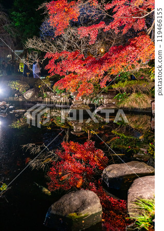 [Kanagawa Prefecture] The vibrantly colored autumn leaves at Hasedera Temple are illuminated 119466155