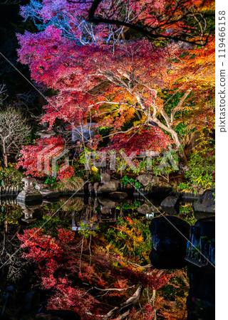 [神奈川縣] 長谷寺的紅葉彩燈 119466158