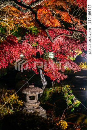 [神奈川縣] 長谷寺的紅葉彩燈 119466165