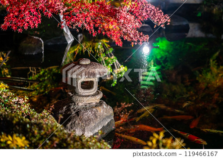 [神奈川縣] 長谷寺的紅葉彩燈 119466167