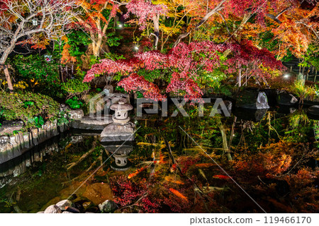 [神奈川縣] 長谷寺的紅葉彩燈 119466170