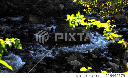 Refresh yourself by hiking in the mountains! Absorb negative ions 119466279