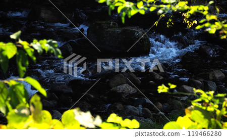 Refresh yourself by hiking in the mountains! Absorb negative ions 119466280