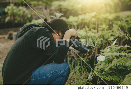Person photographing flowers with a digital camera in a garden. Photographer photographing flowers in a garden Person photographing flowers with a digital camera in a garden. Photographer photographing flowers in a garden 119466549