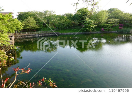 Imaizumi Meisui Sakura Park 119467996
