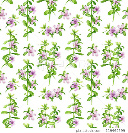Bacopa monnieri herb vintage style seamless pattern. Hand drawn adaptogenic bacopa plant watercolor botanical illustration. Brahmi herb ayurveda medicine seamless pattern element on white background 119469399