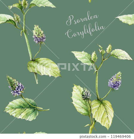Psoralea corylifolia plant stem seamless pattern. Watercolor vintage style illustration. Hand drawn organic Bakuchiol heathy herb natural retinol element. Psoralea medicinal plant seamless pattern 119469406