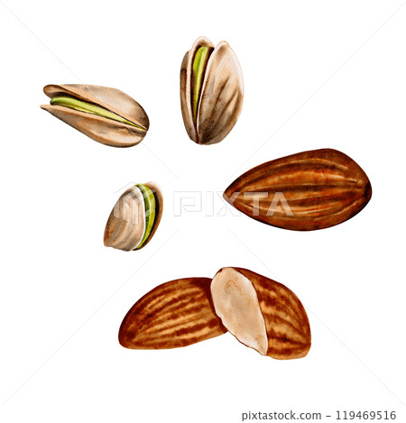 Set of nuts. Almonds and pistachios. natural, natural colors. Watercolor illustration without background. Set of nuts for desserts. High quality illustration 119469516