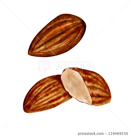 Set of almonds. Isolated nuts. No background. Watercolor illustration. In brown and milky colors. High quality illustration 119469530
