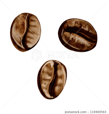 Coffee beans. Three big beans. Brown shades. Roasted aromatic coffee. Watercolor illustration. No background. Sketch illustration. High quality illustration 119469563
