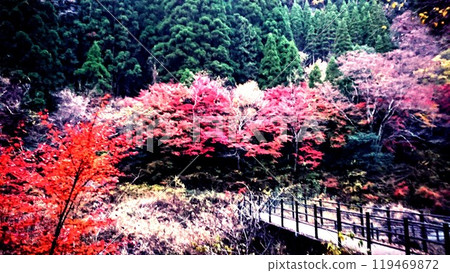 Takachiho's autumn leaves 119469872