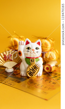 Lucky cat and toy lottery ticket 119470165
