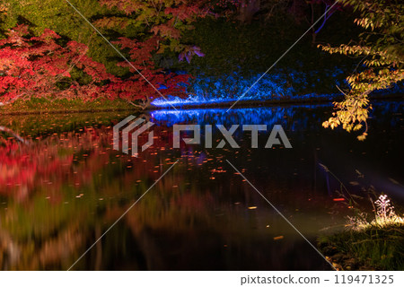 Illuminated maple reflected on the surface of the water 119471325